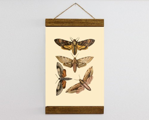 Stampa tela con cornice in - con,