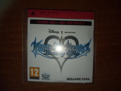 Kingdom hearts birth sleep - kingdom,