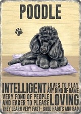 Magnete Per Frigorifero Cane