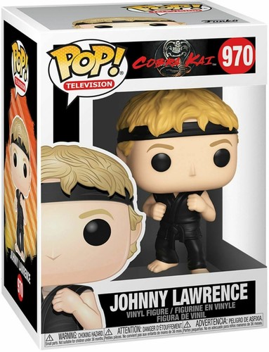 Karate kid cobra kai johnny - karate,