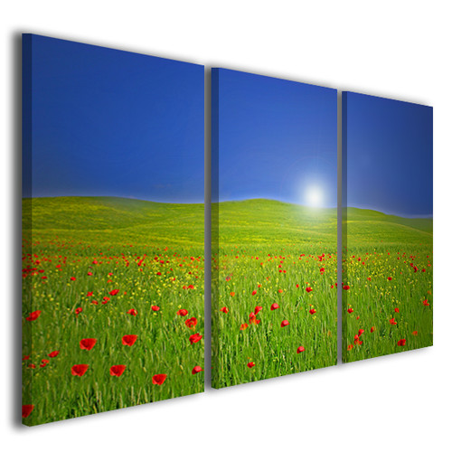 Quadro tela stampe - quadro, moderne