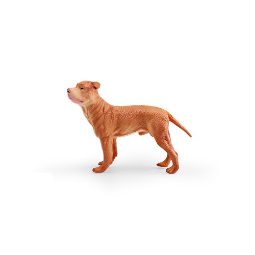 Pitbull terrier cane animale - cane,