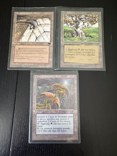 Lotto magic the gathering - the,