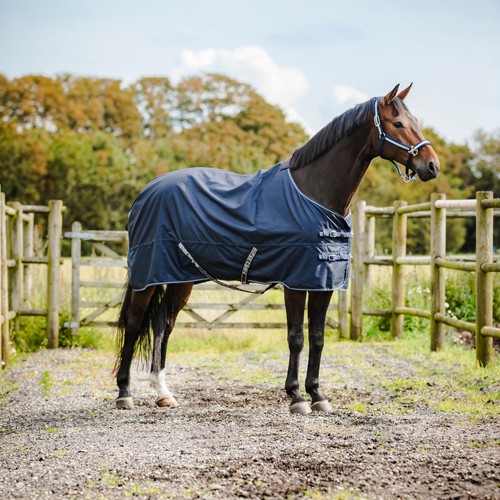 Horse guard turnout coperta - coperta, da