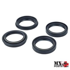 KIT PARAOLI E PARAPOLVERE