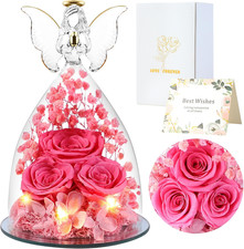 Regali Di Angelo Rosa Eterna