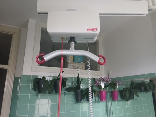 Sollevatore elettrico molift - sollevatore,