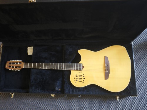 Chitarra acustica godin - chitarra,