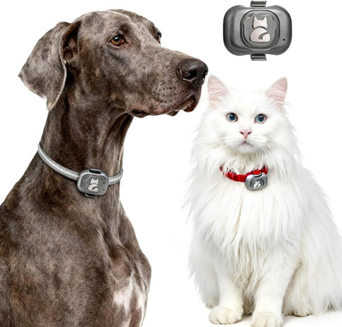 Localizzatore gps per - localizzatore, cani