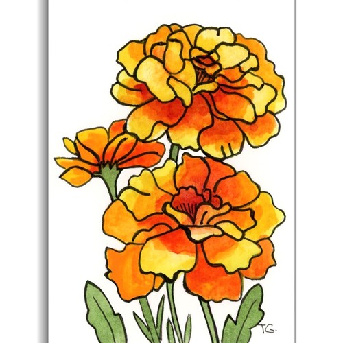 Acquerello originale aceo - originale,