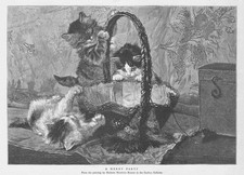 GATTI La festa allegra dal