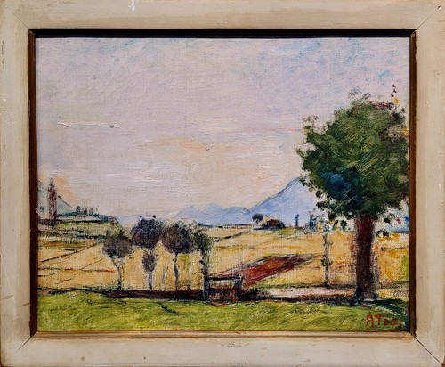 Arturo tosi 1940s - arturo, northern