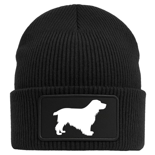 Beanie english cocker spaniel - beanie,