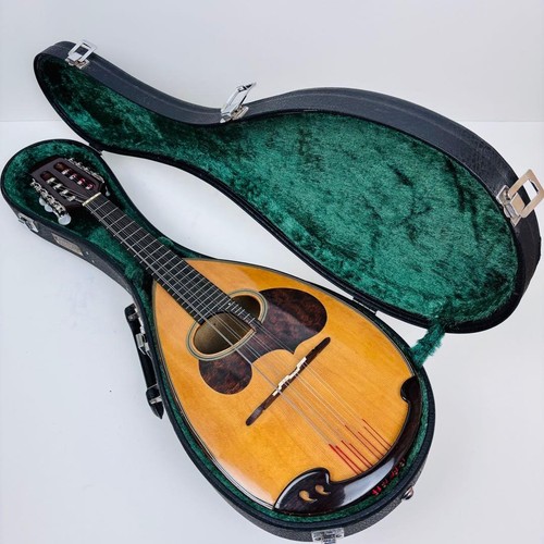 Buone condizioni mandolino - [buone,