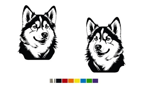 Alaskan malamute dog - (2),
