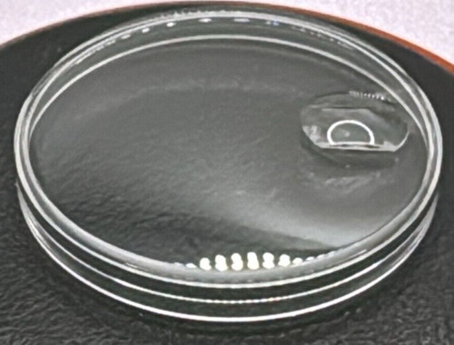Vetro plastica compatibile