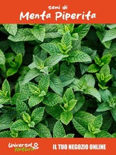 100 Semi di ? Menta Piperita – Fresca, Aromatica e Rigenerante