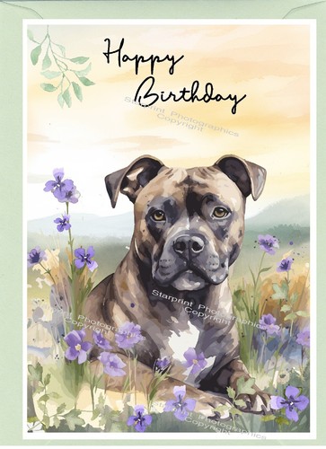 Biglietto compleanno - biglietto, di