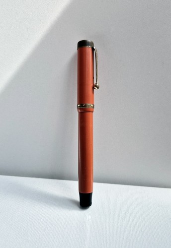 Penna stilografica parker - stilografica,