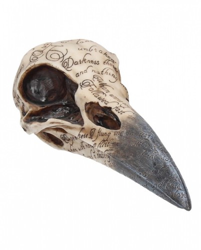 Edgar skull raven - edgar's,