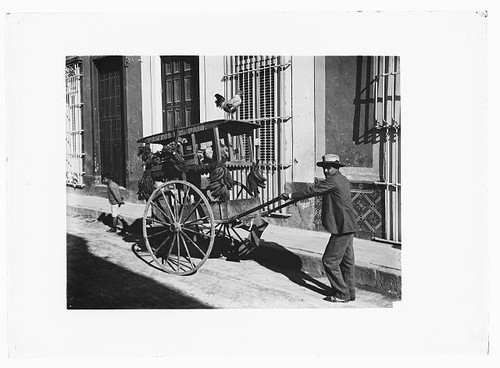 Foto carrello venditore - carrello,