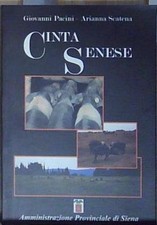 Pacini scatena CINTA SENESE