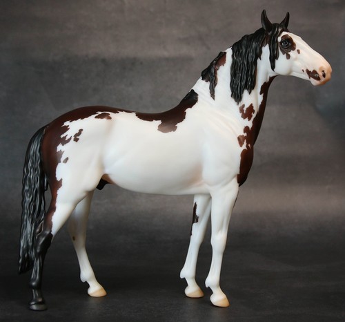 Stallone breyerfest 2026 - stallone,
