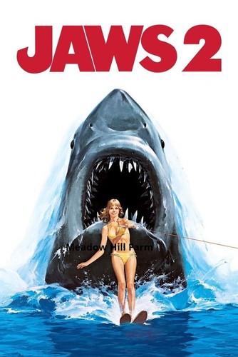 Sticker jaws great white - sticker,
