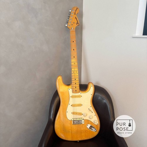 Fernandes burny custom fst - fernandes,