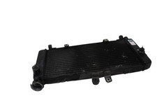 RADIATORE ACQUA HONDA CBF 600