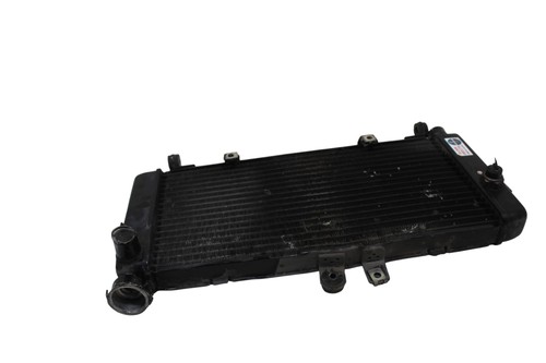 Radiatore acqua honda - cbf, 600