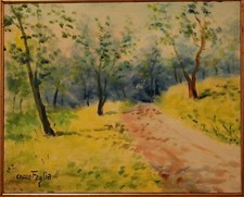 PAESAGGIO BOSCO SENTIERO