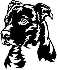 Adesivo AMERICAN STAFFORDSHIRE