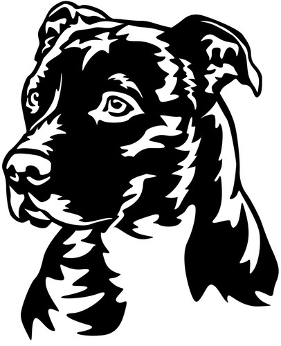 Adesivo american staffordshire - american,