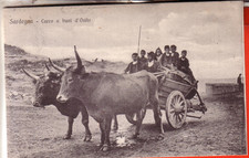 CARTOLINA  OSILO   VIAGGIATA 1912 CARRO A BUOI  D'OSILO   RARA BELLA