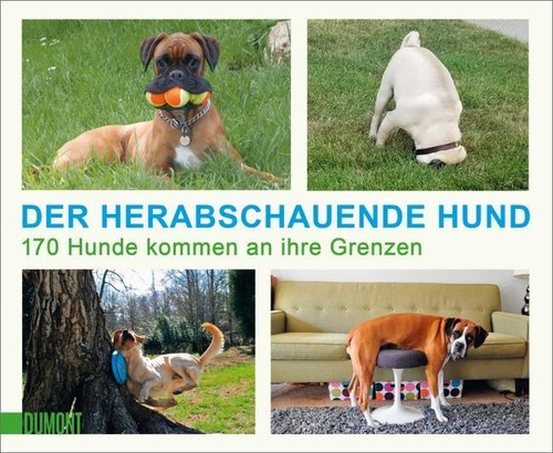 Der herabschauende hund - der,