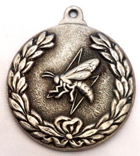 Il 113° Squadrone Hornet