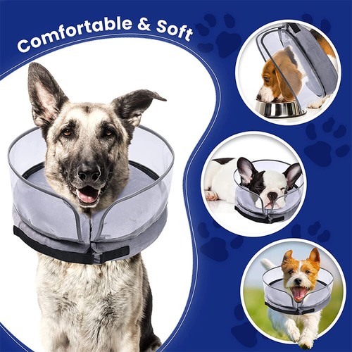 Cono gonfiabile cane - , animale
