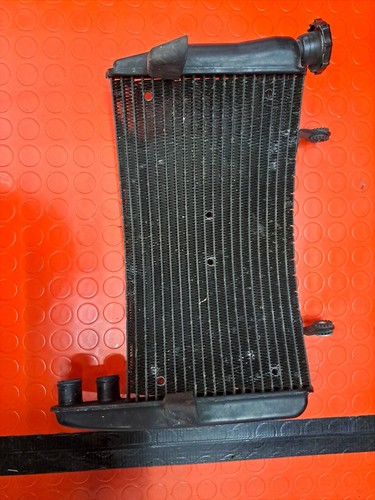 Radiatore acqua ducati - radiatore,