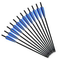 Lot flèches d - lot, 12