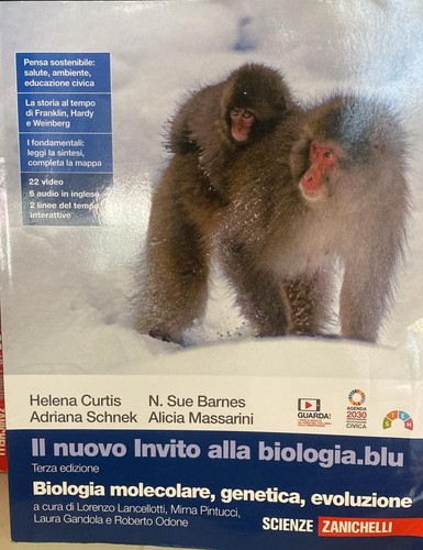 Nuovo invito - nuovo,