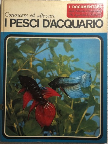 Pesci acquario di elso - i,