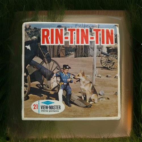 Rin tin view - rin,