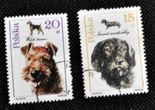 POLONIA - 1989 CANI "Welsh