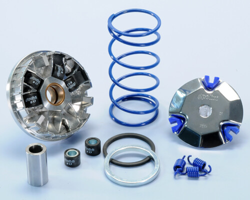 Variatore polini hispeed - variatore,