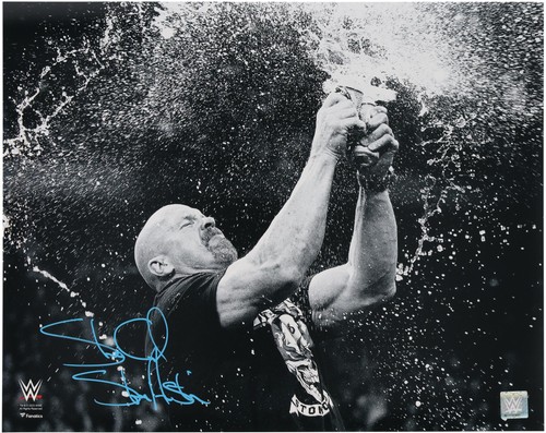 Stone cold steve austin wwe - stone,