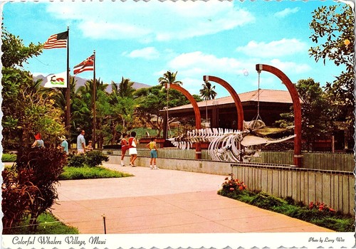 Cartolina whalers village - cartolina,