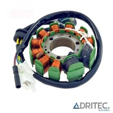 ✅ Alternatore Statore per