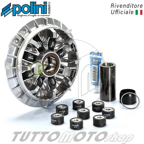 Variatore polini 241 - variatore,