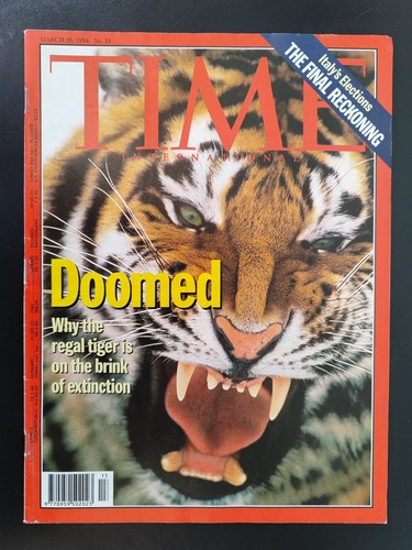 Doomed tiger - doomed,
